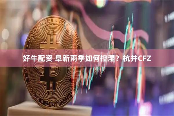 好牛配资 阜新雨季如何控湿？杭井CFZ
